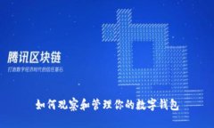 如何观察和管理你的数字钱包
