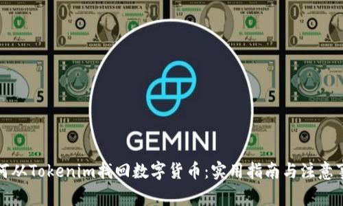 如何从Tokenim找回数字货币：实用指南与注意事项