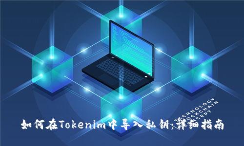 如何在Tokenim中导入私钥：详细指南