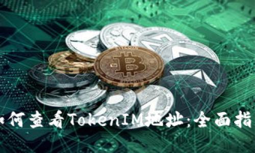 如何查看TokenIM地址：全面指南