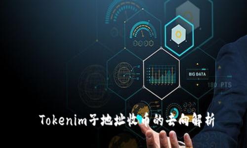  Tokenim子地址收币的去向解析