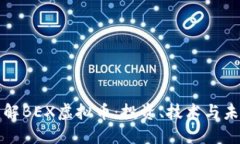 深入了解BEX虚拟币：投资、技术与未来趋势