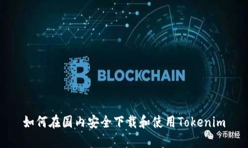 如何在国内安全下载和使用Tokenim
