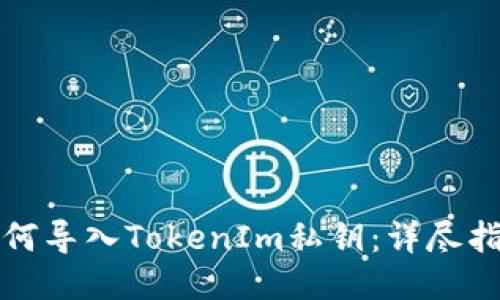 如何导入TokenIm私钥：详尽指南