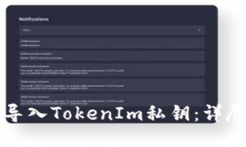 如何导入TokenIm私钥：详尽指南