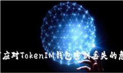 如何应对TokenIM钱包密钥丢失的危机？