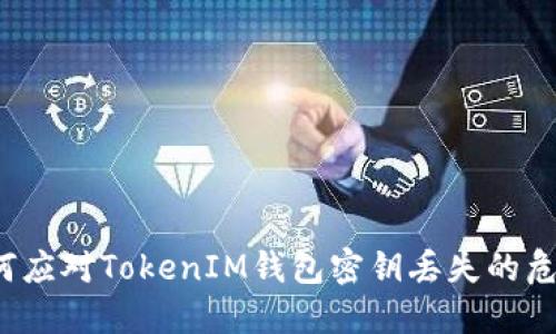 如何应对TokenIM钱包密钥丢失的危机？
