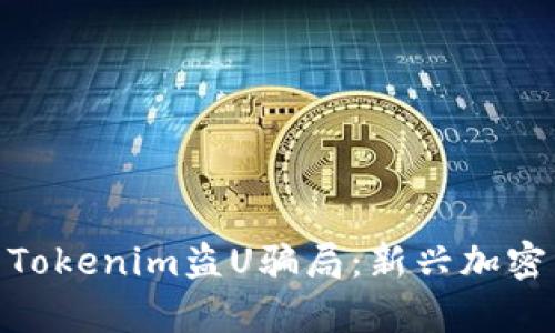 : 深入剖析Tokenim盗U骗局：新兴加密货币的猫腻