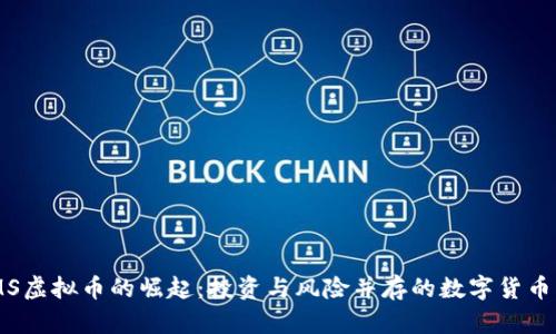 VDMS虚拟币的崛起：投资与风险并存的数字货币新星