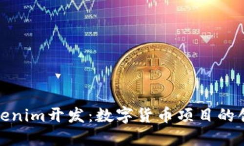 : 高仿Tokenim开发：数字货币项目的创新与挑战