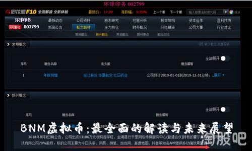 BNM虚拟币：最全面的解读与未来展望