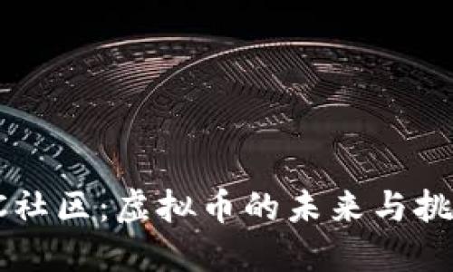 SC社区：虚拟币的未来与挑战