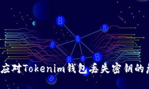 如何应对Tokenim钱包丢失密钥的危机？