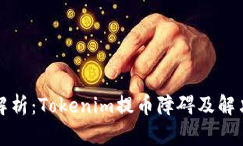 深入解析：Tokenim提币障碍及解决方案