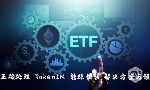: 如何正确处理 TokenIM 转账错误：解决方案与预防措施