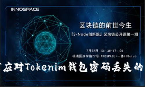 如何应对Tokenim钱包密码丢失的问题