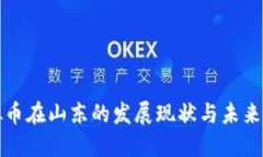 虚拟币在山东的发展现状与未来趋势