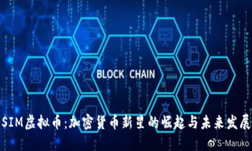 SIM虚拟币：加密货币新星的崛起与未来发展