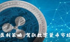 :软件虚拟币盈利策略：驾驭数字货币市场的关键