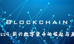虚拟币ssG：新兴数字货币的崛起与未来展望