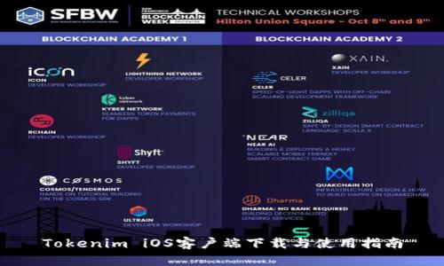 Tokenim iOS客户端下载与使用指南