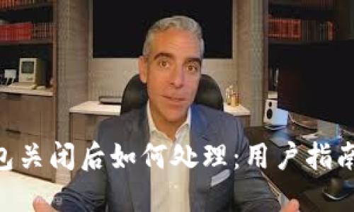 Tokenim钱包关闭后如何处理：用户指南与应对策略
