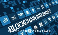 BNQ虚拟币：新兴数字资产解析与未来展望