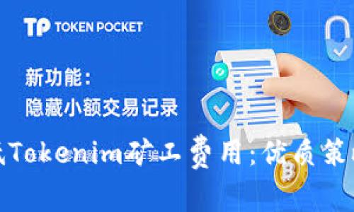 如何高效降低Tokenim矿工费用：优质策略与实用技巧