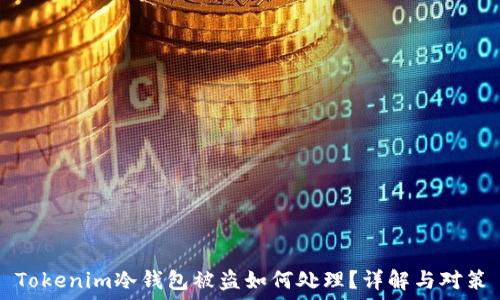  
Tokenim冷钱包被盗如何处理？详解与对策