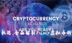 坚定投资新机遇，全面解析Pump虚拟币的潜力与风