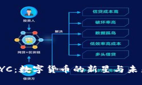 探索虚拟币AYC：数字货币的新星与未来投资的机遇