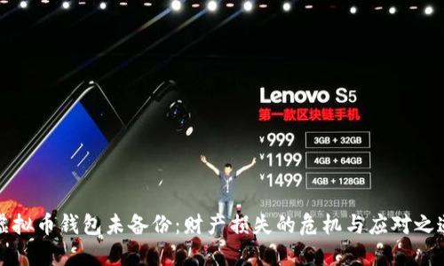 虚拟币钱包未备份：财产损失的危机与应对之道