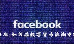 虚拟币决胜：如何在数字货币浪潮中乘风破浪