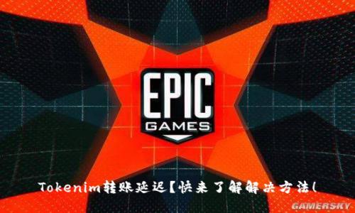 Tokenim转账延迟？快来了解解决方法！