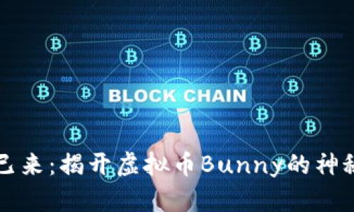 未来已来：揭开虚拟币Bunny的神秘面纱