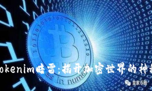 探索Tokenim暗雷：揭开加密世界的神秘面纱