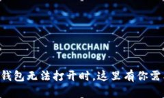 当你的虚拟币钱包无法打开时，这里有你需要的