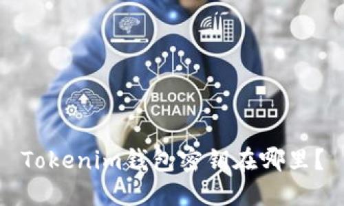 Tokenim钱包密钥在哪里？