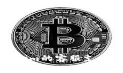 Tokenim的客服支持解析