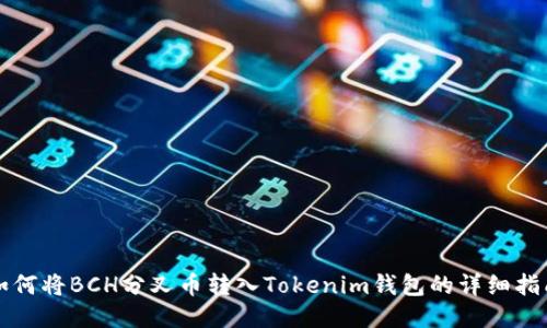 如何将BCH分叉币转入Tokenim钱包的详细指南