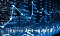  探索 Solx 虚拟币的潜力与前景