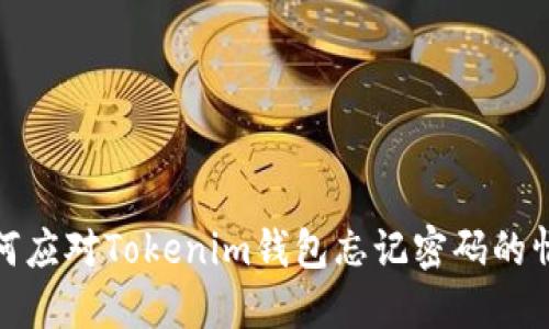 如何应对Tokenim钱包忘记密码的情况