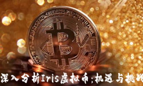 
深入分析Iris虚拟币：机遇与挑战