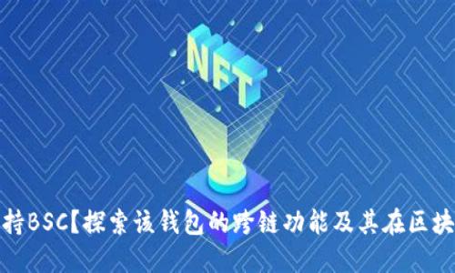 TokenIM是否支持BSC？探索该钱包的跨链功能及其在区块链生态中的应用