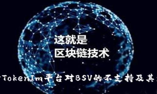 探讨TokenIm平台对BSV的不支持及其影响
