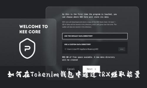 如何在Tokenim钱包中通过TRX赚取能量