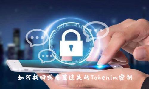 如何找回或重置遗失的Tokenim密钥