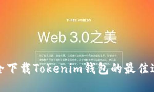 安全下载Tokenim钱包的最佳途径