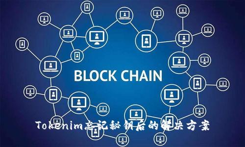 Tokenim忘记秘钥后的解决方案