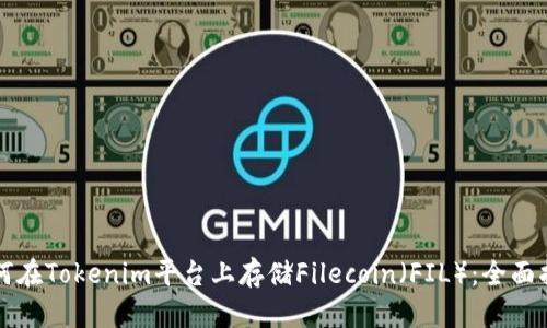 如何在Tokenim平台上存储Filecoin（FIL）：全面指南